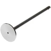 TRW 105-35621 Inlaatklep