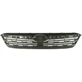 BLIC 6502-07-6747991P Radiator grill