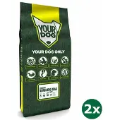 Yourdog 2x12 kg steirische ruwharig brak volwassen hondenvoer