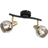QAZQA Plafondlamp zwart met messing en glas smoke 2-lichts - Vidro