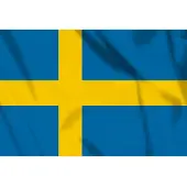 101 Inc Vlag Zweden, Zweedse vlag