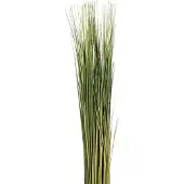 Atmosphera Kunstgras - Grasbundel - Groen - Kunstplant - H79 cm