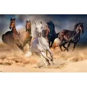 Merkloos Poster Five Horses 91,5x61cm