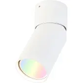 QAZQA Smart spot wit verstelbaar incl. Wifi GU10 - Falo
