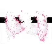 Coppens Luxe boa wit/pink |