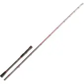 Akami Denia Jigging Rod Goud 1.95 m / 100-200 g