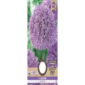Florex Allium Gladiator 18/20 1 stuk
