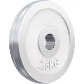Gorilla Sports Halterschijf 2,5 kg Chroom