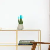 Green bubble Sansevieria Cylindrica Velvet Touchz lichtblauw - 25cm