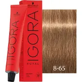 Schwarzkopf Professional Igora Royal Chocolates 60 ml 8-65 Light Blonde Chocolate Gold