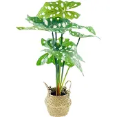 Eurofirany Kunstplant - gedroogde bloem Eurocurtains Alocasia, kunstbloem in een mand