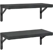 vidaXL Wandschappen 2 st 50x23,5 cm roestvrijstaal zwart