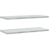 vidaXL Wandschappen 2 st 100x40 cm roestvrijstaal zilverkleurig