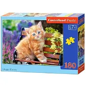 Castorland legpuzzel Ginger Kitten 180 stukjes