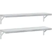 vidaXL Wandschappen 2 st 100x30 cm roestvrijstaal zilverkleurig