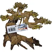 Superfish Bonsai Driftwood M aquaria
