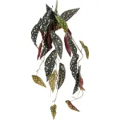 Mica Decorations Kunsthangplant Bladbegonia H 80 Cm