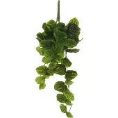 Mica Decorations Kunsthangplant Peperomia H 58 Cm