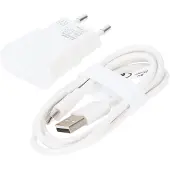 Goobay USB-A thuislader met 2 poorten en losse USB-C kabel - 2,4A / wit - 1 meter