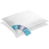 Vandyck Hoofdkussen Thermo Zacht (60 x 70 cm)