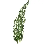 Clayre & Eef Kunstplant 77 cm Groen Kunststof Groen