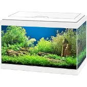 Ciano Aquarium Aqua 20 Led - Wit - 40x20x31cm