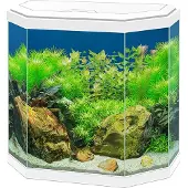 Ciano Aquarium Aqua 30 Led - Wit - 40x20x45,5cm