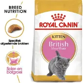 Royal Canin 4x British Shorthair Kitten 2kg