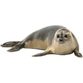 VAN IKKE Muursticker Zeehond