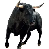 VAN IKKE Muursticker Stier XL