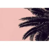 Living Walls Fotobehang ARTist Palm Tree (set, 4-delig)