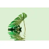 Living Walls Fotobehang ARTist Monstera Leaf Water (set, 4-delig)