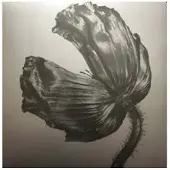PARLOPHONE RELEASE/LP