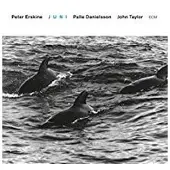 Universal Music Peter Erskine Trio - Juni (CD)
