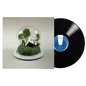 Konkurrent Fenne Lily - Big Picture (LP)
