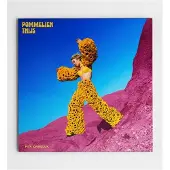 Cd Pommelien Thijs - Per Ongeluk