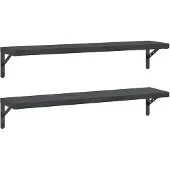 vidaXL Wandschappen 2 st 100x23,5 cm roestvrijstaal zwart