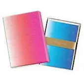 Galison Neon Ombre Paseo - Christian Lacroix
