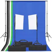vidaXL Fotostudioset met verlichtingsset en achtergrond