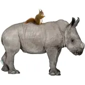 VAN IKKE Muursticker Neushoorn met eekhoorn