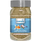 Darwin Sluierstaart Korrels
