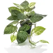 Emerald kunstplant in pot scindapsus struik 55 cm