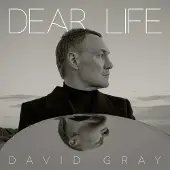 Konkurrent David Gray - Dear Life (2 LP)
