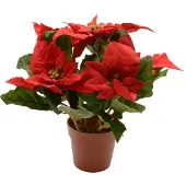 Décoris Poinsettia zijde pot d16h27 cm kerstrood kerst