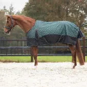 QHP Regendeken luxe 150gram 1200D Emerald
