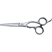 Joewell AR 610 Knipschaar