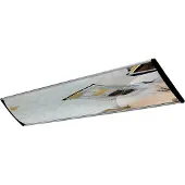 DANCOP Bewakingsspiegel - Acryl - 30 x 100 cm