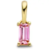 The Jewelry Collection 14K geelgoud hanger met geboortesteen 4027210
