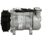 Delphi TSP0159242 Aircopomp
