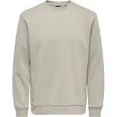 Only & Sons Sweatshirt 'CONNOR' grijs / lichtgrijs
